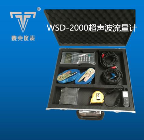 WSD-2000超声波流量计